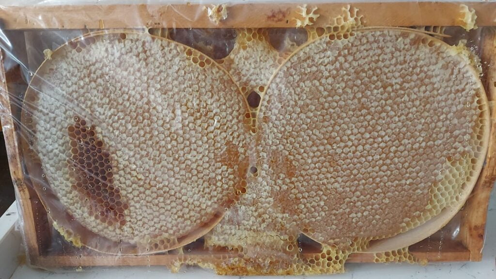 organik karakovan balı