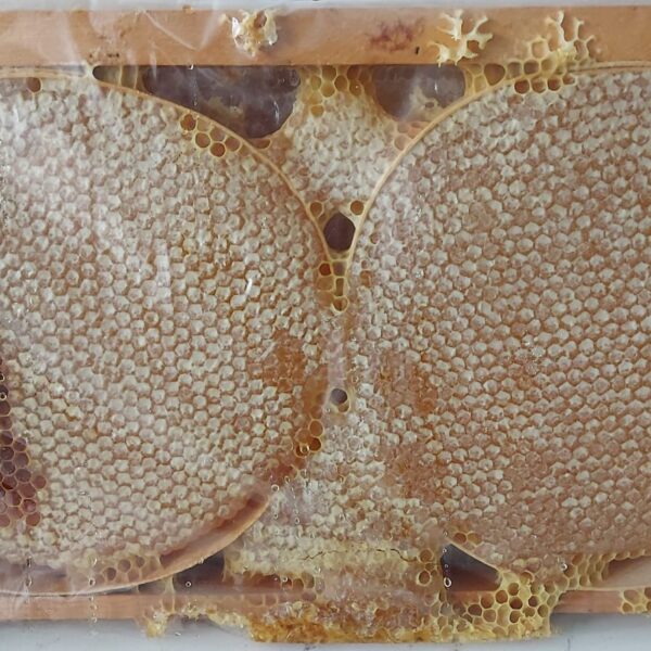 organik karakovan balı