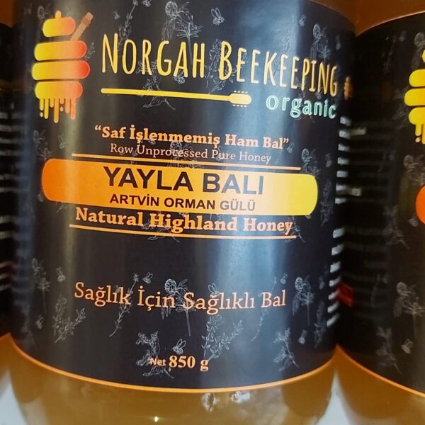 orman gülü ( deli bal )